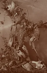 [Still Life : Dead Game]