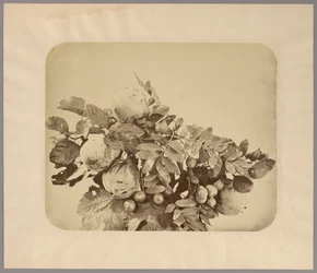 Nature morte aux coings et aux baies