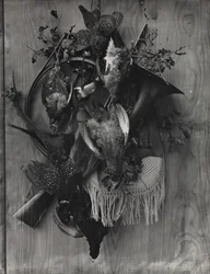 Trophée de la chasse