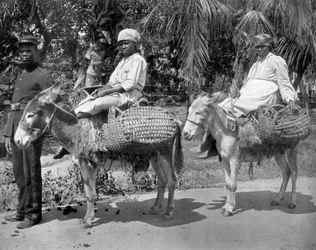 En route vers la prison, Jamaïque, vers 1905