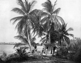 Sur la route de Blue Hole, Port Antonio, Jamaïque, vers 1905