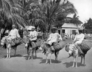 En rentrant du marché, Jamaïque, c1905
