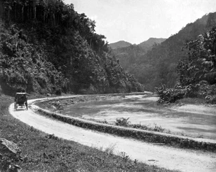 Route vers Bog Walk, Jamaïque, c1905