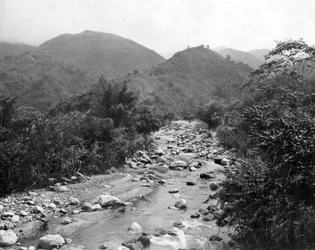 La rivière Wag, Castleton, Jamaïque, vers 1905