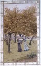 Vie des abeilles : la ruche d
