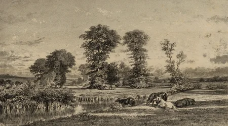 Chevaux au pâturage