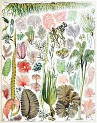Illustration d