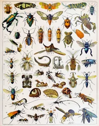 Illustration d