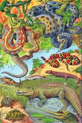 Illustration de reptiles vers 1923