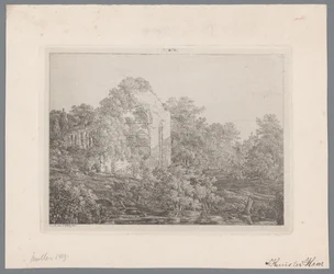 Vue sur les ruines du Château de Haar