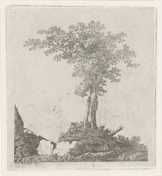 Deux arbres
