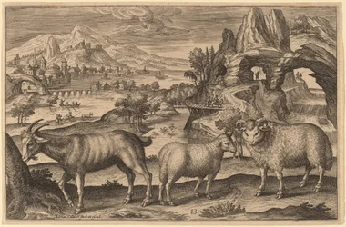 Une chèvre, une brebis et un bélier