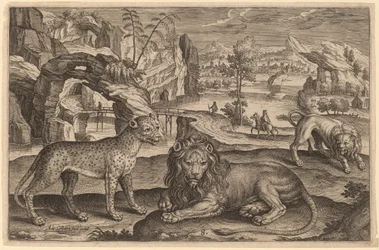 Un léopard et deux lions