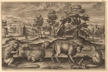 Un singe, un porc-épic, deux hérissons, un buffle et un renard