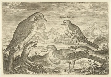 Trois oiseaux dans un paysage