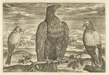 Trois oiseaux dans un paysage (Avivm Vivae, Vogels)
