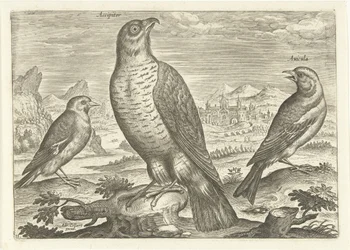 Trois oiseaux dans un paysage, Oiseaux (titre de la série), Avivm vivae (titre de la série)