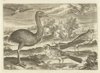 Quelques oiseaux dans un paysage