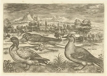 Quelques oiseaux dans un paysage (Avivm vivae)
