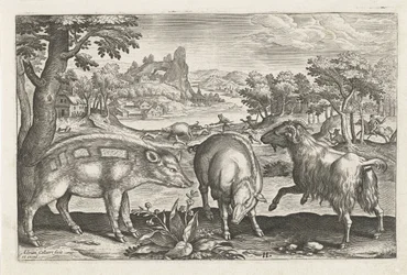 Chèvre et cochons (Animalivm Qvaddrvpedvm)