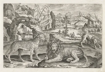 Lions et léopard