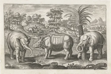 Éléphants et rhinocéros (Animalivm Qvaddrvpedvm)