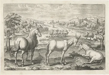 Cheval et ânes. Animalivm Qvaddrvpedvm