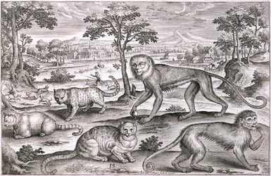 Trois chats et deux singes