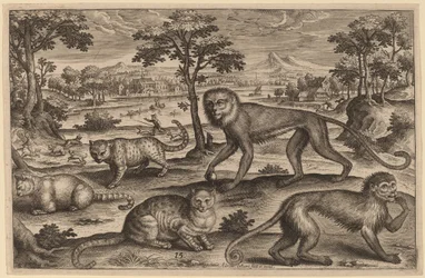 Trois chats et deux singes