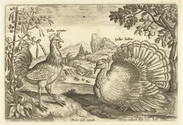 Deux poules dans un paysage