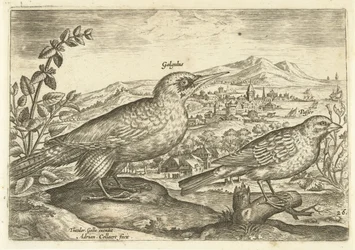 Deux oiseaux dans un paysage