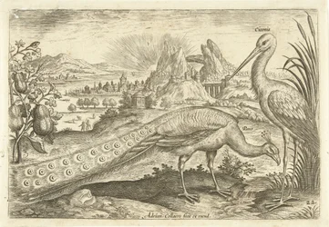 Deux oiseaux dans un paysage (Avivm Vivae) (Oiseaux)