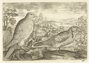 Deux oiseaux dans un paysage