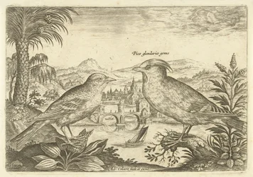 Deux oiseaux dans un paysage Oiseaux (titre de la série) Avivm Vivae (titre de la série)