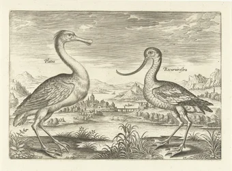 Twee waadvogels in een rivierlandschap