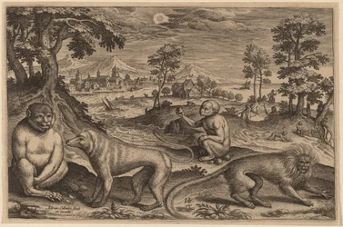 Deux singes et deux macaques