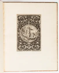 Vénus, planche d