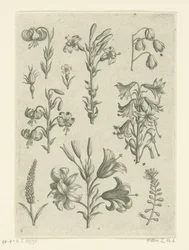 Quatre grandes lys et quelques petites fleurs