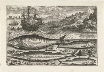 Quatre poissons sur la plage