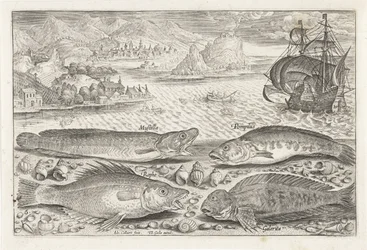 Quatre poissons sur la plage