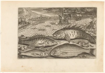 Quatre poissons sur la plage