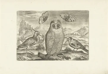 Oiseaux et papillons dans un paysage (Oiseaux)