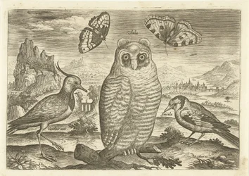 Oiseaux et papillons dans un paysage (Avivm vivae)