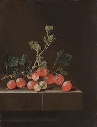Groseilles sur une Table
