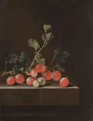 Groseilles sur une table, 1701