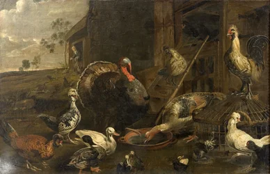 Poules, canards et un dindon
