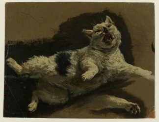 Chat allongé sur le dos avec une patte détendue