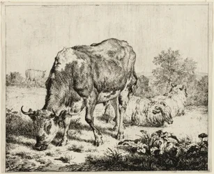 Une vache et trois moutons