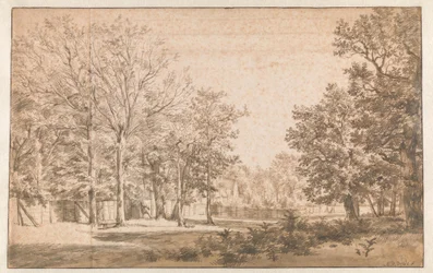 Paysage boisé