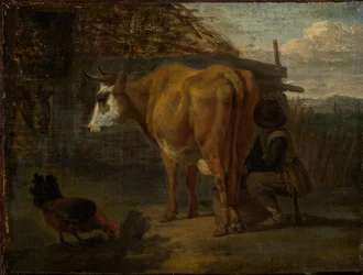 Vache brune traitée par un berger